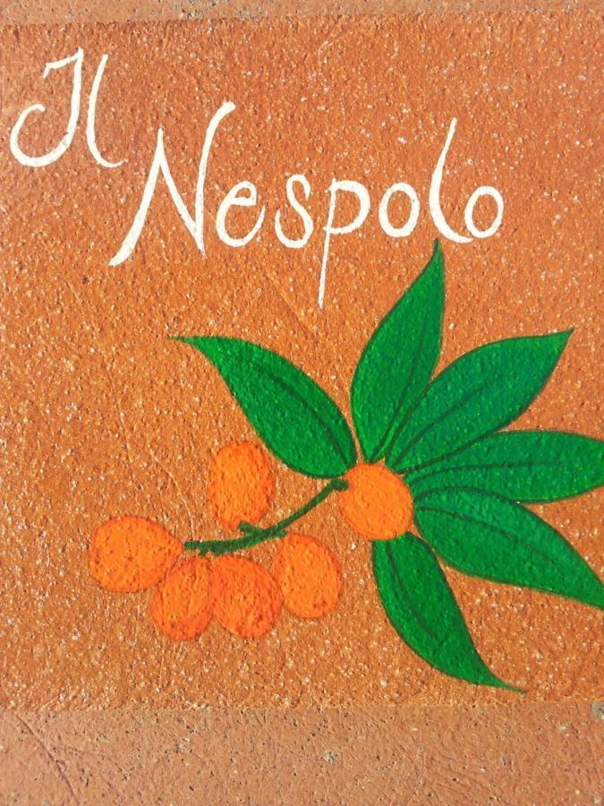 Appartamento Il Nespolo Pomonte Εξωτερικό φωτογραφία