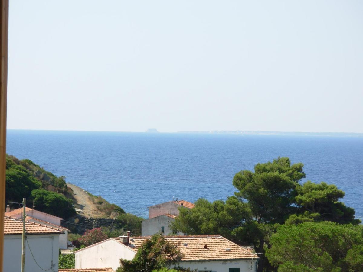 Appartamento Il Nespolo Pomonte Εξωτερικό φωτογραφία